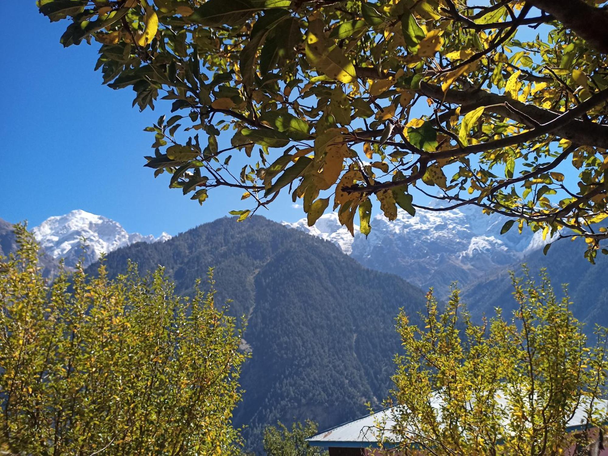 The Shudarang Inn Kalpa Buitenkant foto