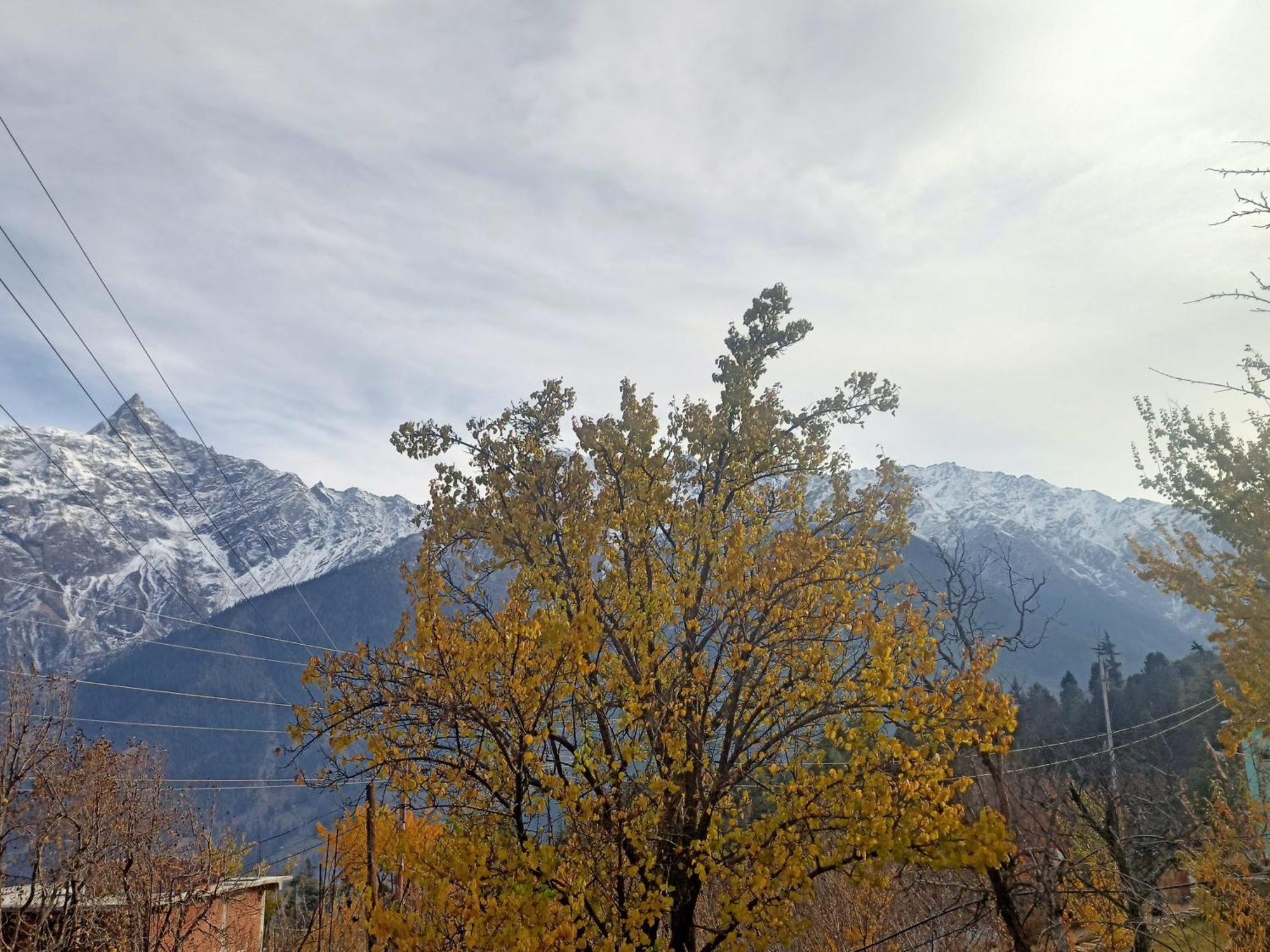 The Shudarang Inn Kalpa Buitenkant foto